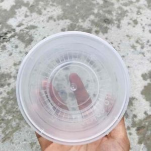 THỐ NHỰA CÓ NẮP
